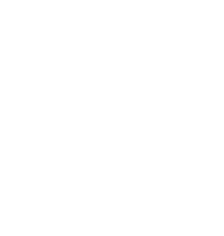 Logo Fortress